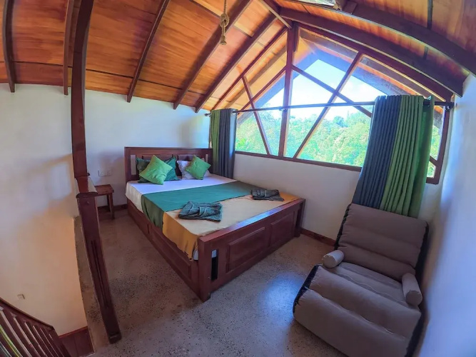 Rain Forest Vibe Sinharaja
