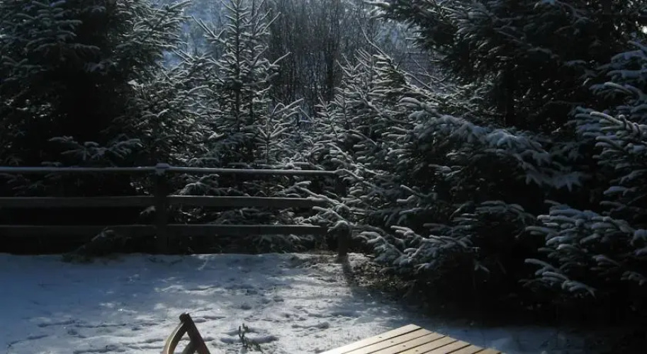 Kopaonik House