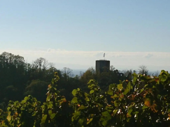 FEWO Vogesenblick