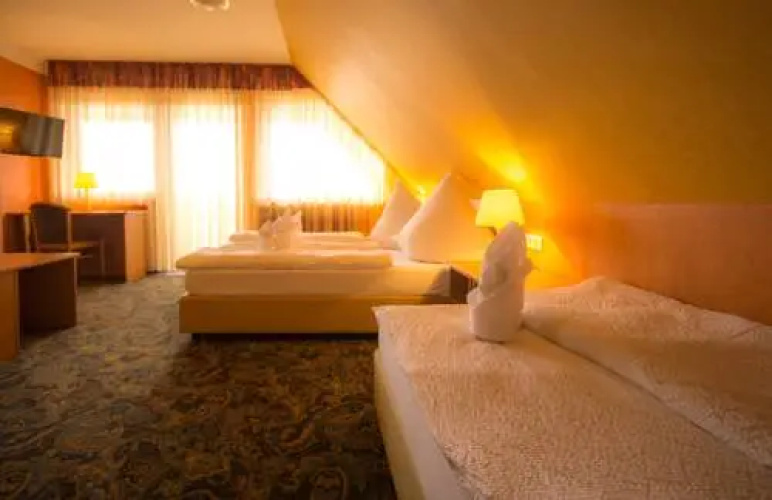 Hotel-Restaurant Alpha