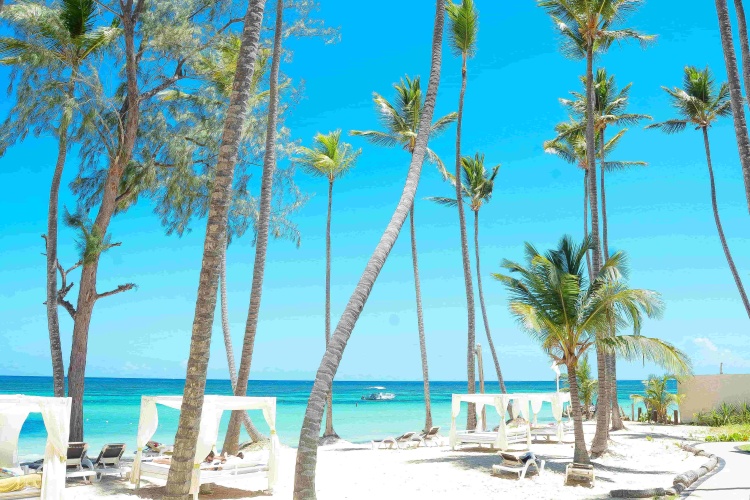 Vista Sol Punta Cana Beach Resort & Spa photo 30