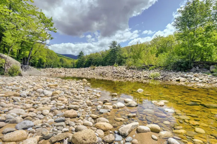 Well-appointed Lincoln Abode: Ski, Swim + Fish!