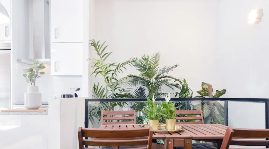 Charming La Latina Green