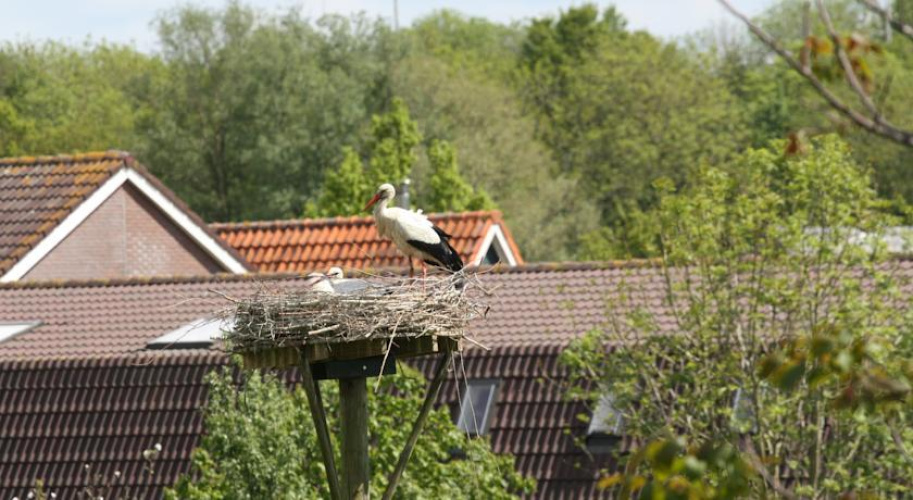 Bed & Breakfast 'Aan de IJssel'