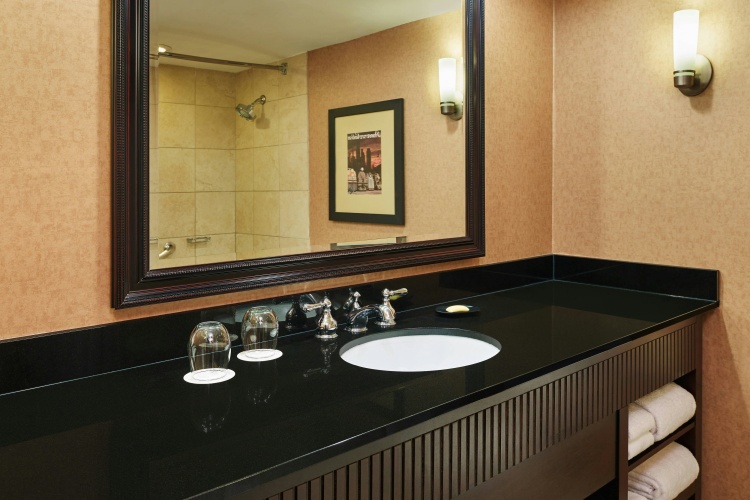 Sheraton Lisle Naperville Hotel photo 10