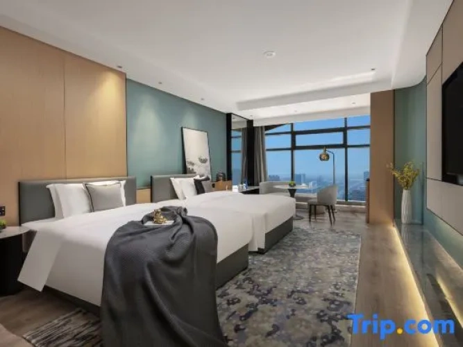 Superior room with city view