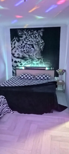 Фотография номера квартиры Апартаменты Октябрьская 37Б