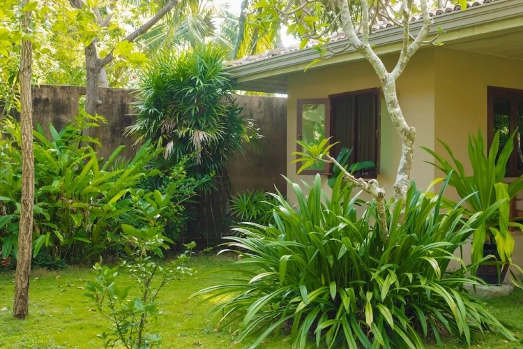 Superior Villa