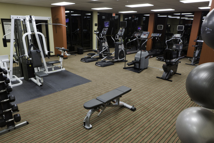 Courtyard By Marriott Dallas Dfw Airport North I photo 23