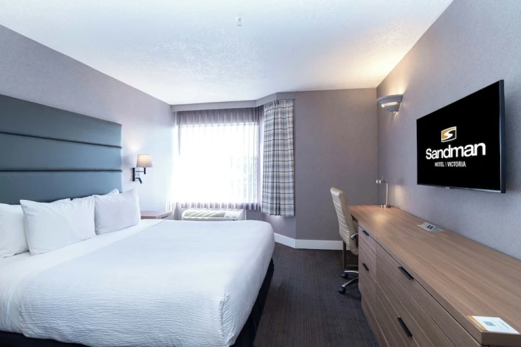 Standard Double Suite