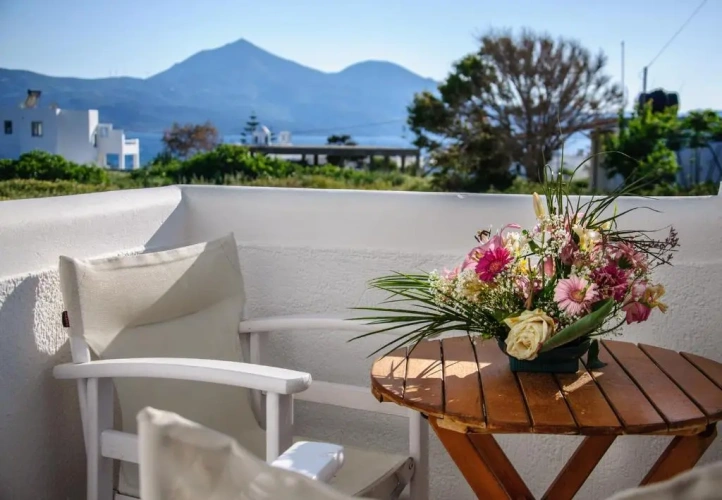 Standard Double room with balcony and with view
