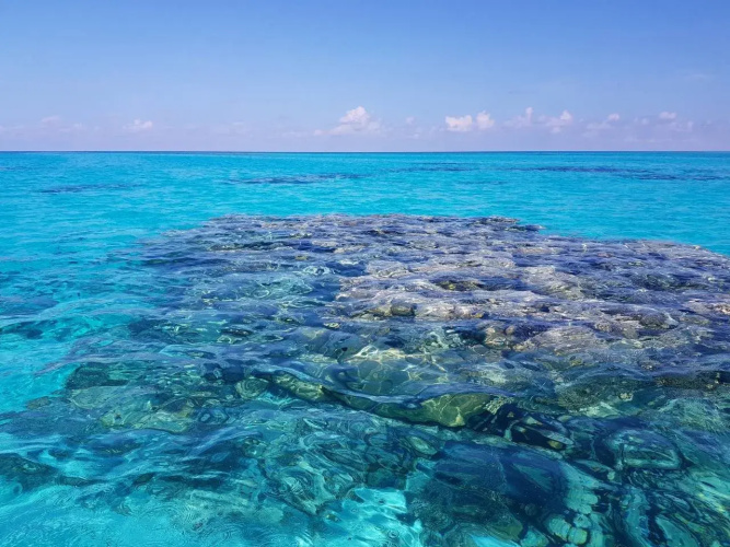Hoandedhooinn
