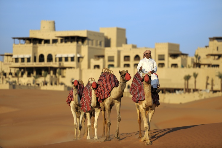 Anantara Qasr Al Sarab Resort & Spa photo 37