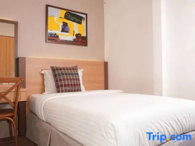 Deluxe Single Suite