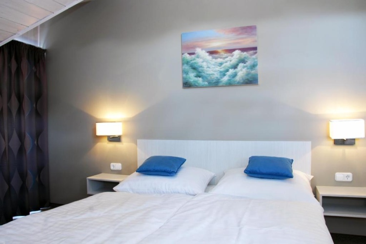 Standard Double room with balcony and with pool view