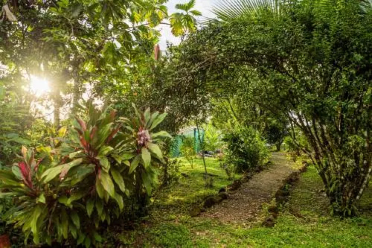Selva Armonia