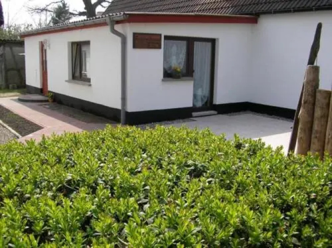 Ferienhaus Born FDZ 181