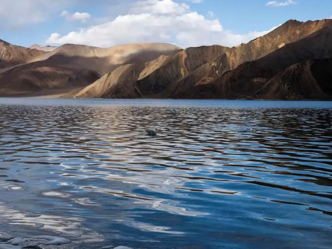 Alpine Cottage Pangong