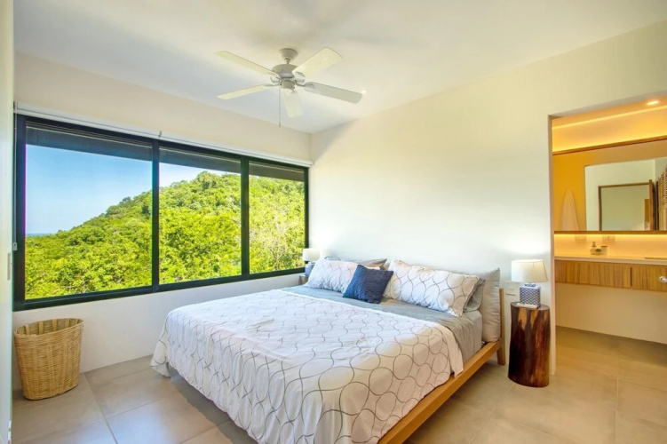 Agaves 204