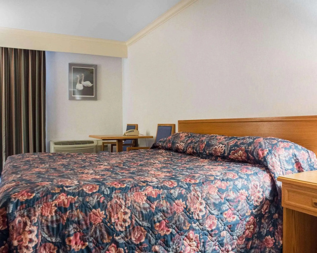 Econo Lodge By The Falls