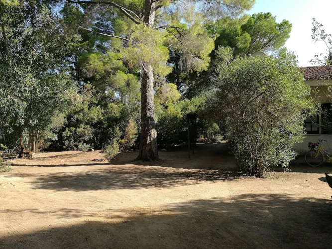 Villetta in Pineta