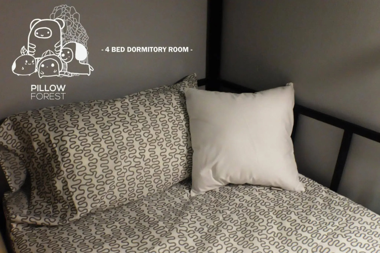 Pillow Land Onnut