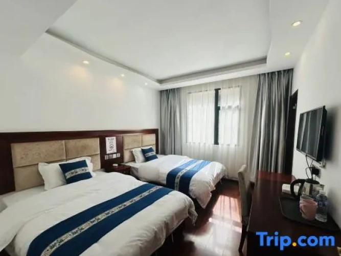Standard Twin room with canal view