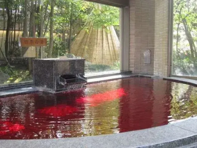 Hotel Yamanami