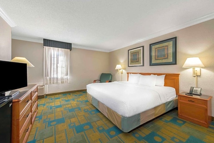 1 Bedroom Suite
