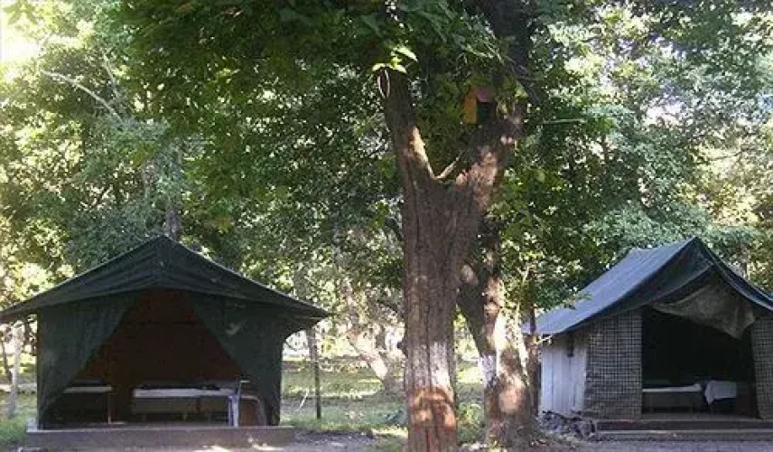 Hotel Corbett Jungle Lore