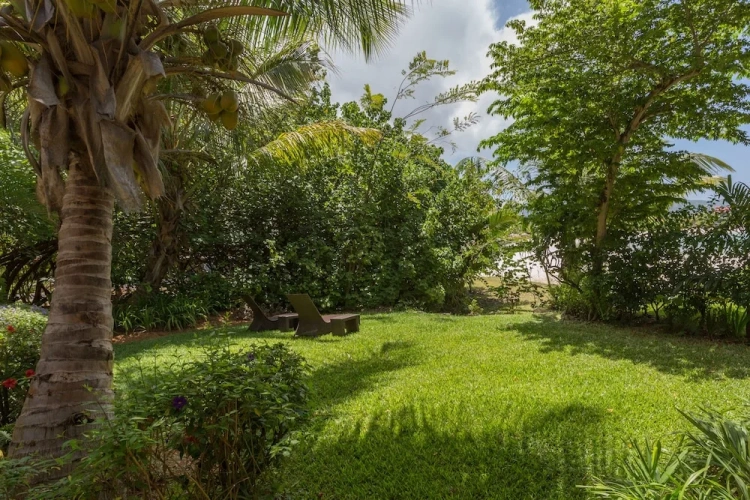 2 Bedrooms Apartment beachfront