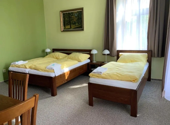 Standard Triple room