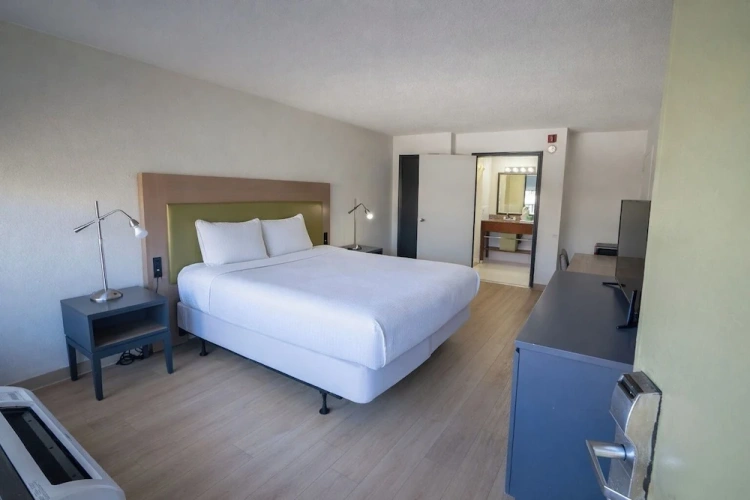 Luxury Double Suite