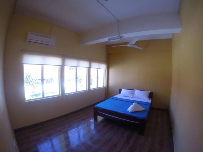 Fat Rhino Hostel