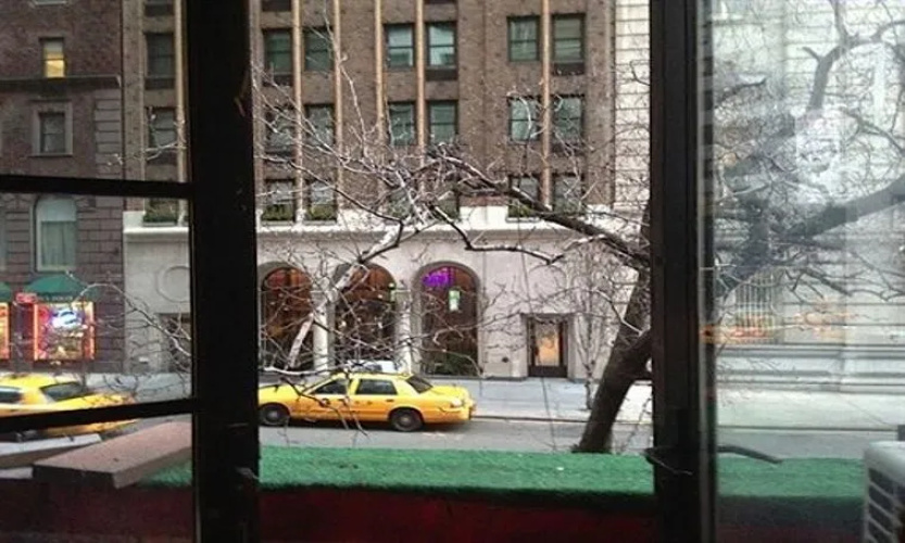 238 Madison Ave Apartment