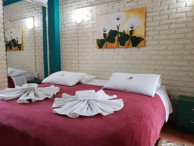 Standard Double room with balcony and with view