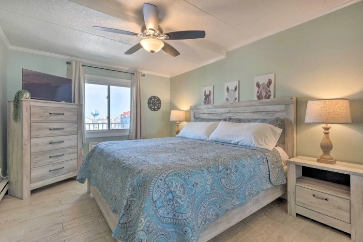 1 Bedroom Apartment