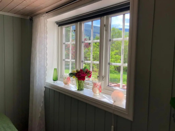 Garden Apartment in Gol