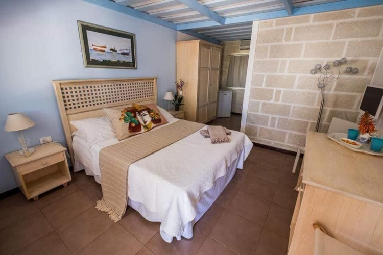 Standard Double room with garden view