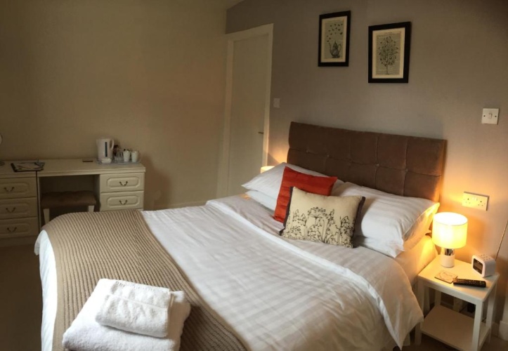Standard Double room with view