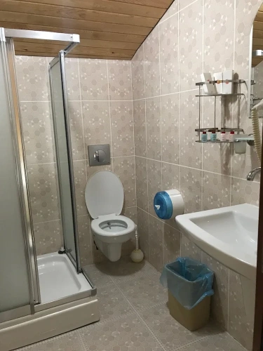 1 Bedroom Standard Quadruple room with balcony and with lake view