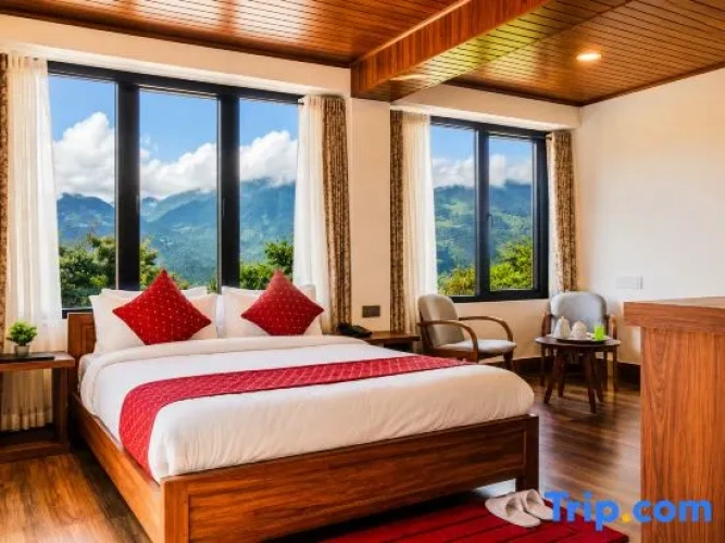 Premium Double room with balcony and with mountain view
