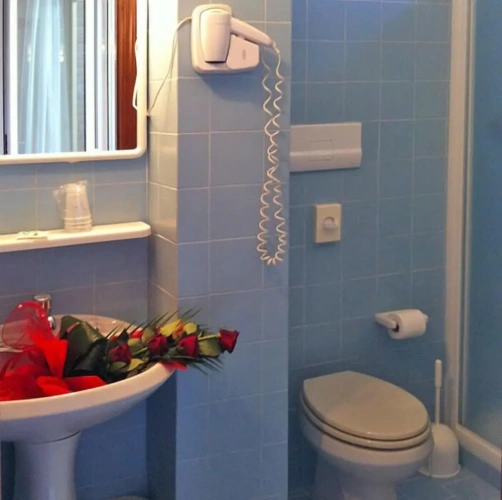 Standard Double room with balcony and with land view