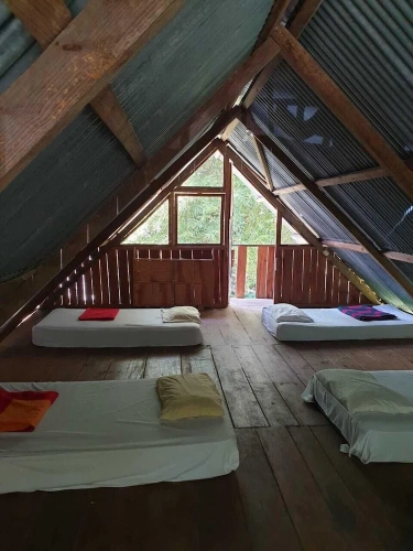 Bed in Dorm