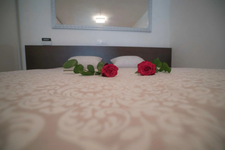 Deluxe apartma Jana