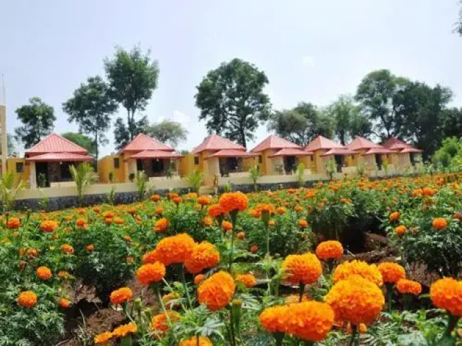 Rutugandh River View