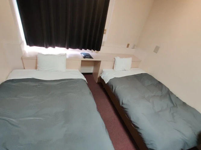 Classic Twin room