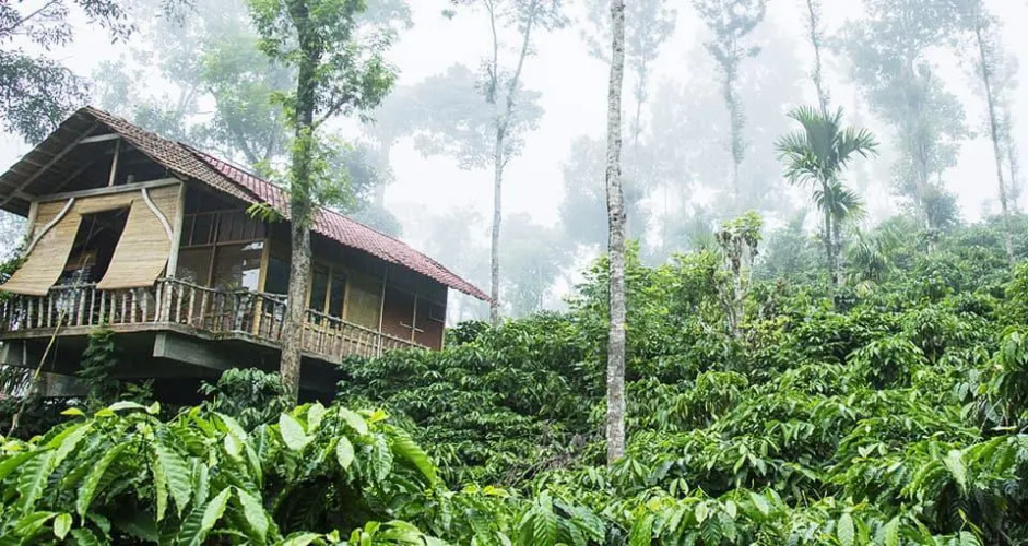 The Coffee County Resorts