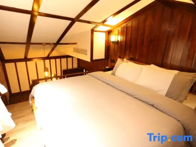 Standard Double Duplex room with city view