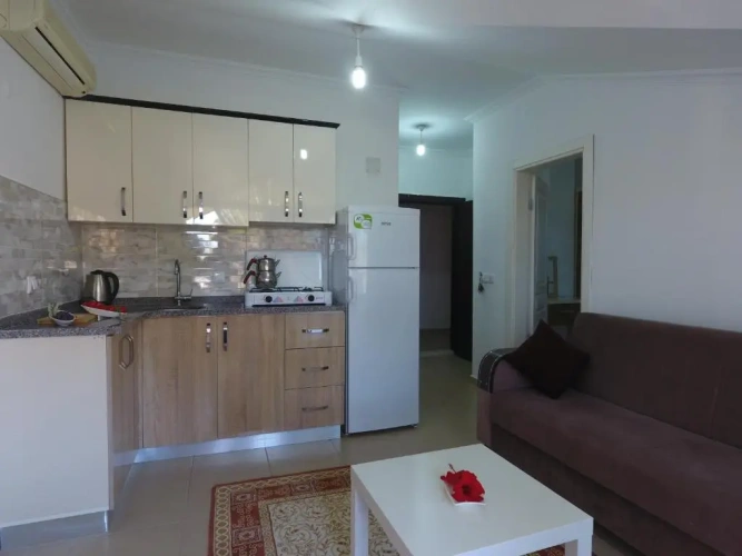 1 Bedroom Apartment